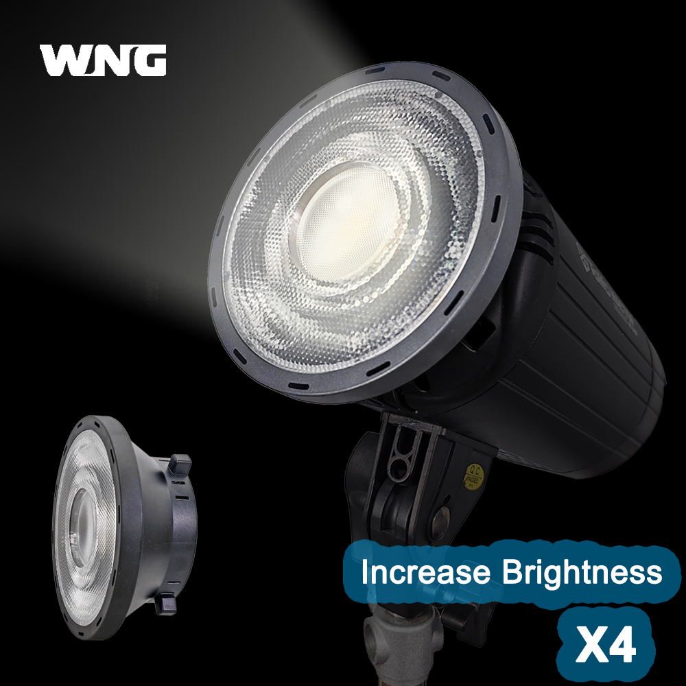 Lente di Fresnel 24 °   Access - Fresnel Lens Attachment recensione e prezzo