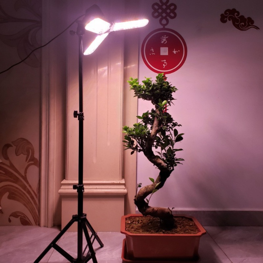 Portalampada 2M, attacco CA E2 - Photography Lighting With Umbrella recensione e prezzo