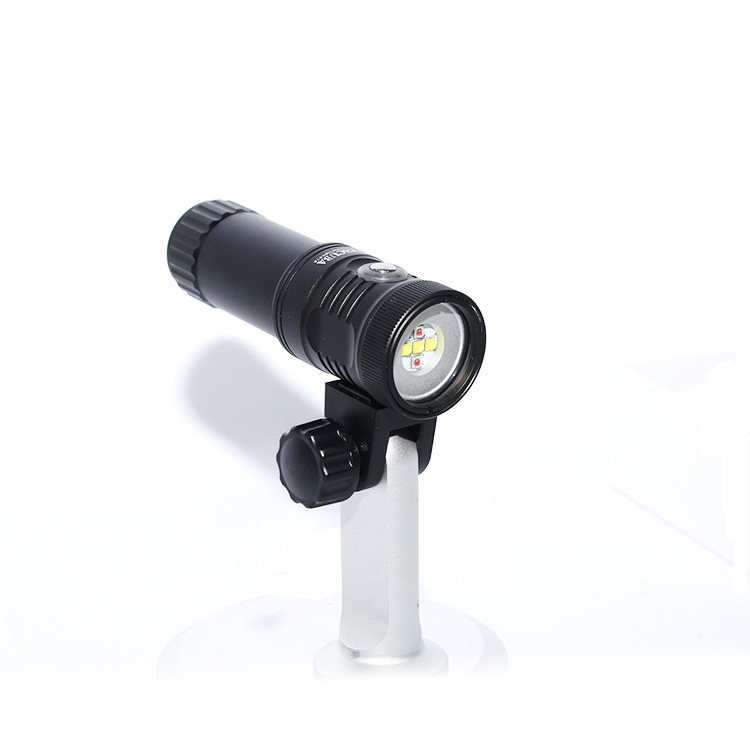 Morsetto Nitescuba per luce vi - Photography Using Lighting recensione e prezzo