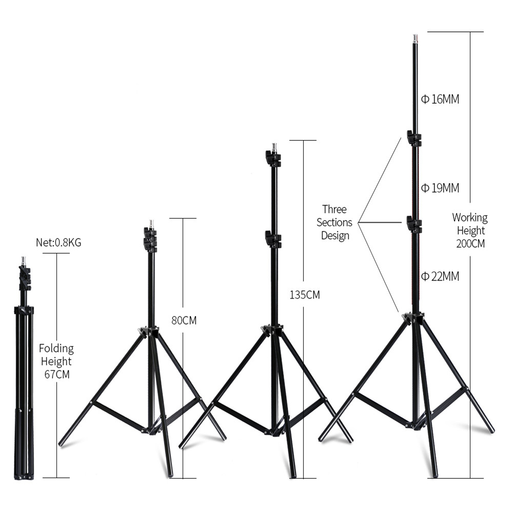Kit di illuminazione con softb - Photography Using Lighting recensione e prezzo