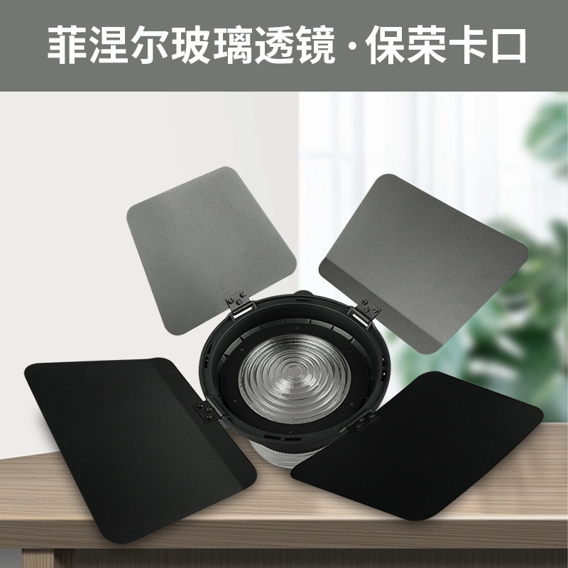 Nicefoto Lampada fotografica R - Fresnel Lens Attachment recensione e prezzo